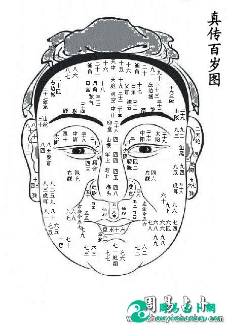 法令紋面相男|《麻衣神相》白话图解【相 法令纹】34种法令纹运势